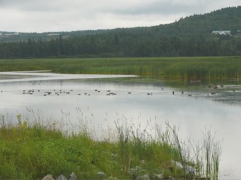 Image009