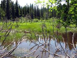 Image011