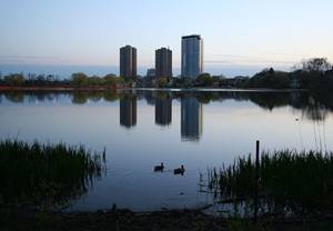 Image004